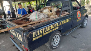 Inovasi Kokam Wedi: Jalin Kolaborasi Baru dengan Manisrenggo, Sukses Borong dan Kumpulkan 7 Ton Kulit Sapi